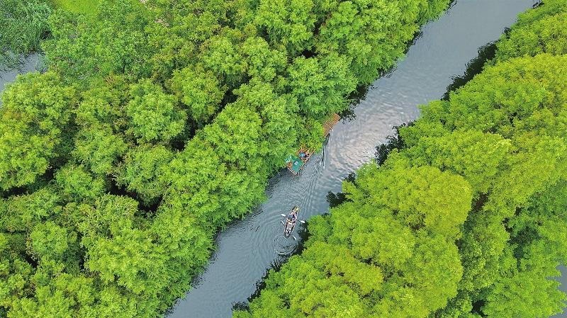 众多市民游客前往虎丘湿地公园游玩避暑