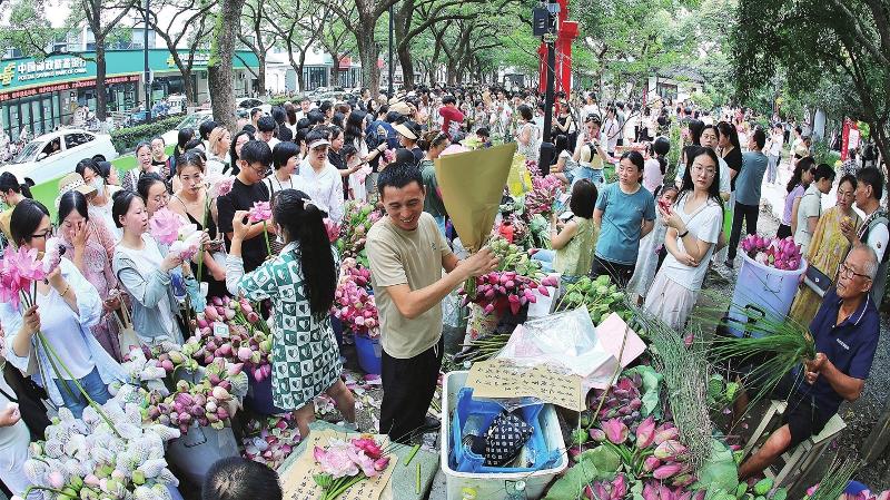 白塔西路荷花市集人气爆棚